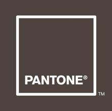 Carica l'immagine nel visualizzatore di Gallery, T-SHIRT PERFECT